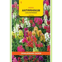 Antirrhinum, Leeuwenbekje, half-hoog gemengd
