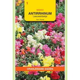 Antirrhinum, Leeuwenbekje Tom Thumb