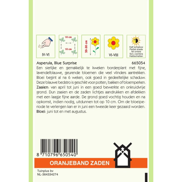 Oranjeband® Asperula, Blue Woodruff Blue Surprise
