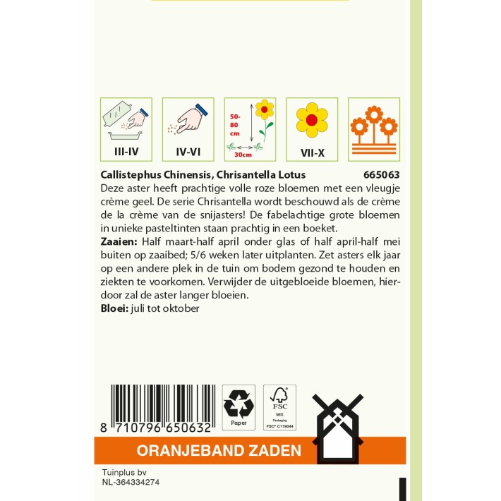 Oranjeband® Callistephus, Chrisantella Lotus
