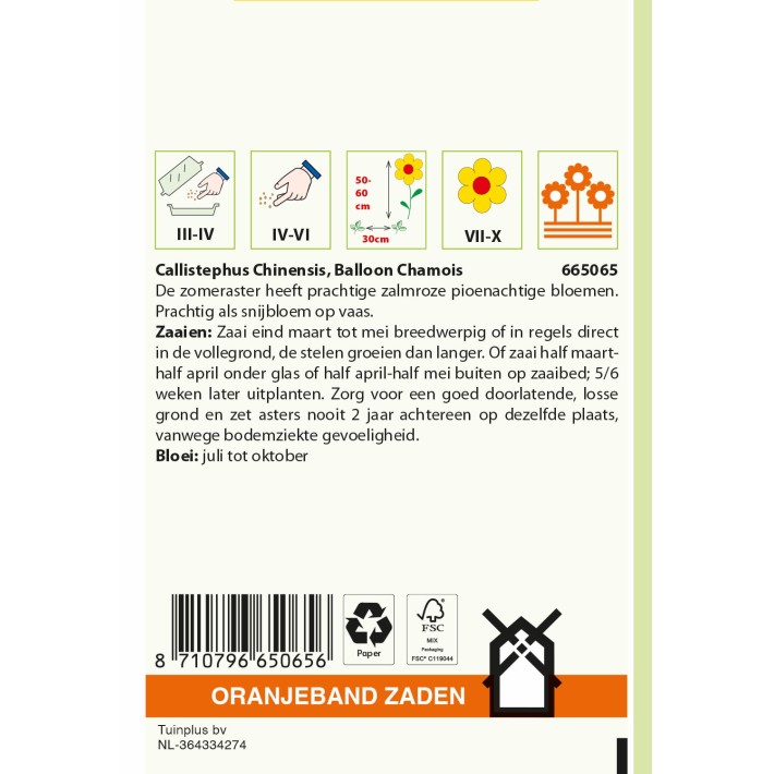 Oranjeband® Callistephus, Balloon Chamois