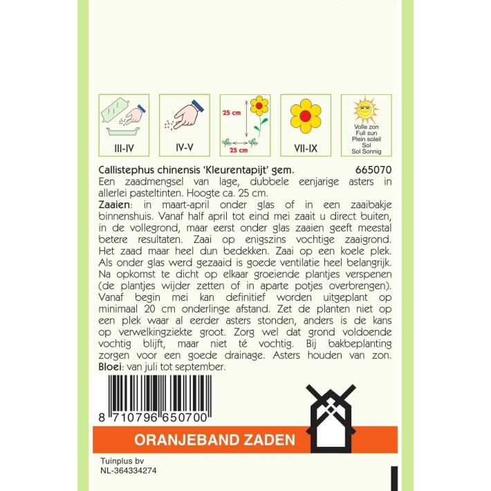 Oranjeband® Reine marguérite Colour Carpet en mélange