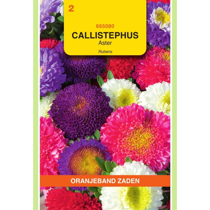 Oranjeband® Callistephus chin. Rubens Mixed