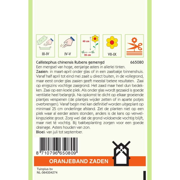 Oranjeband® Callistephus chin. Rubens Mixed