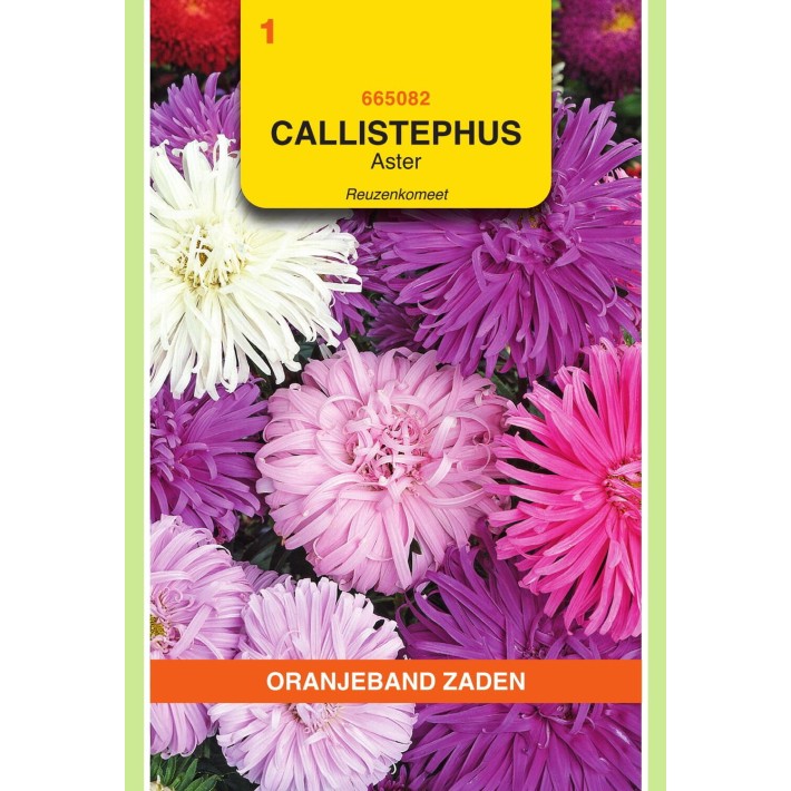 Oranjeband® Callistephus chin. Giant Comet Mixed