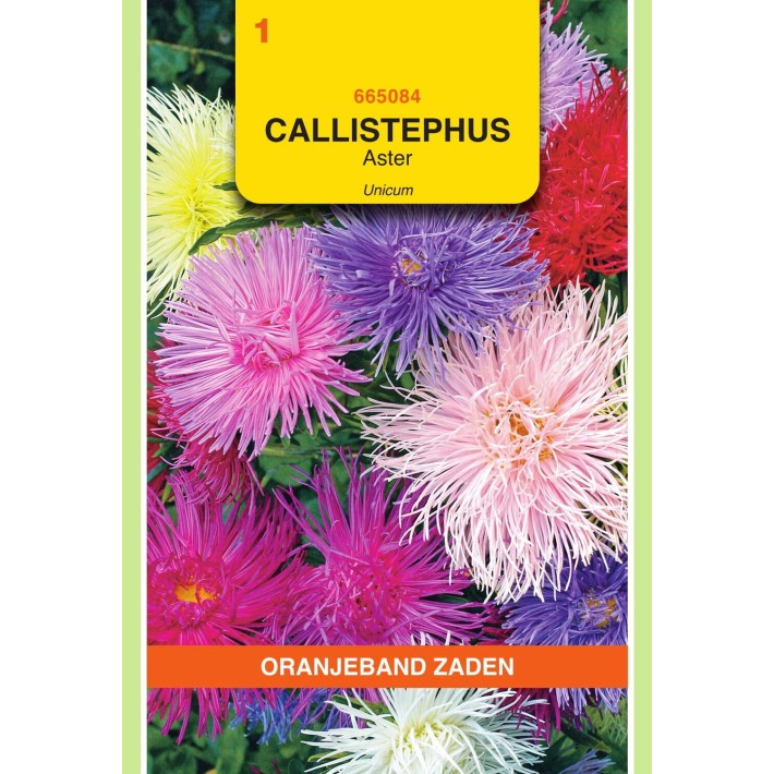 Oranjeband® Callistephus Chin. Unicum Mixed