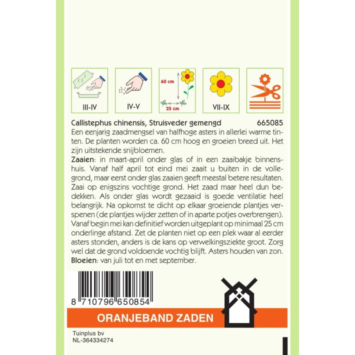 Oranjeband® Reine-Marguérite Plume d'Autruche Variée