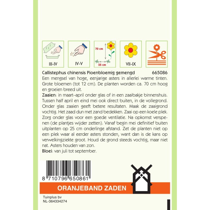 Oranjeband® Callistephus Chin. Paeony Flwd Duchess Mxd