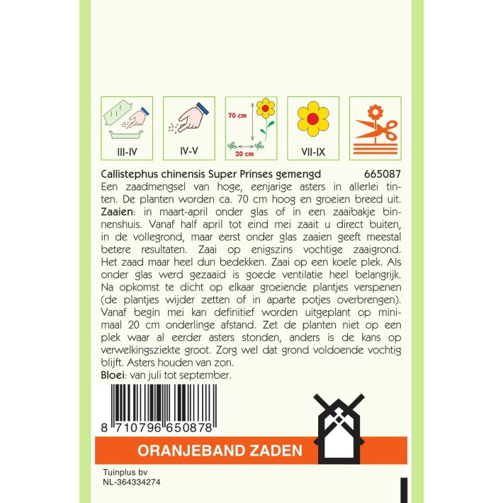 Oranjeband® Reine-Marguérite Princesse géante variée