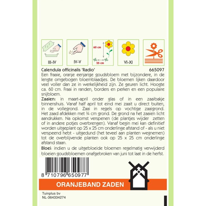Oranjeband® Calendula Off.Radio Orange Quilled