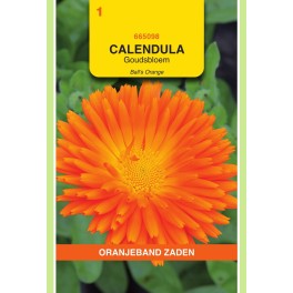 Calendula, Goudsbloem Ball's