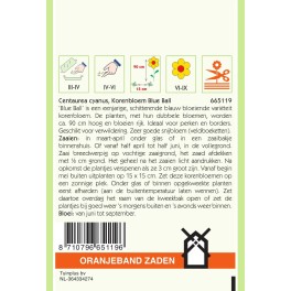 Centaurea, Korenbloem Blue Ball