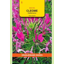Cleome, Kattensnor roze