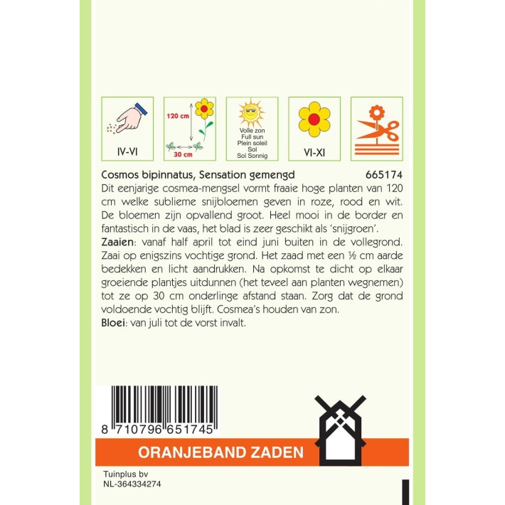 Oranjeband® Cosmos Bipinnatus Sensation Mixed