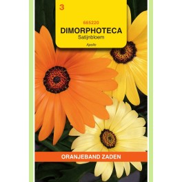 Oranjeband® Dimorphoteca Sin. Hybrida Apollo Mixed