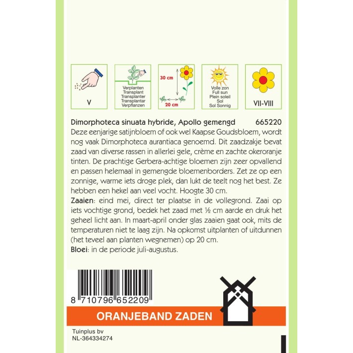 Oranjeband® Dimorphoteca Sin. Hybrida Apollo Mixed