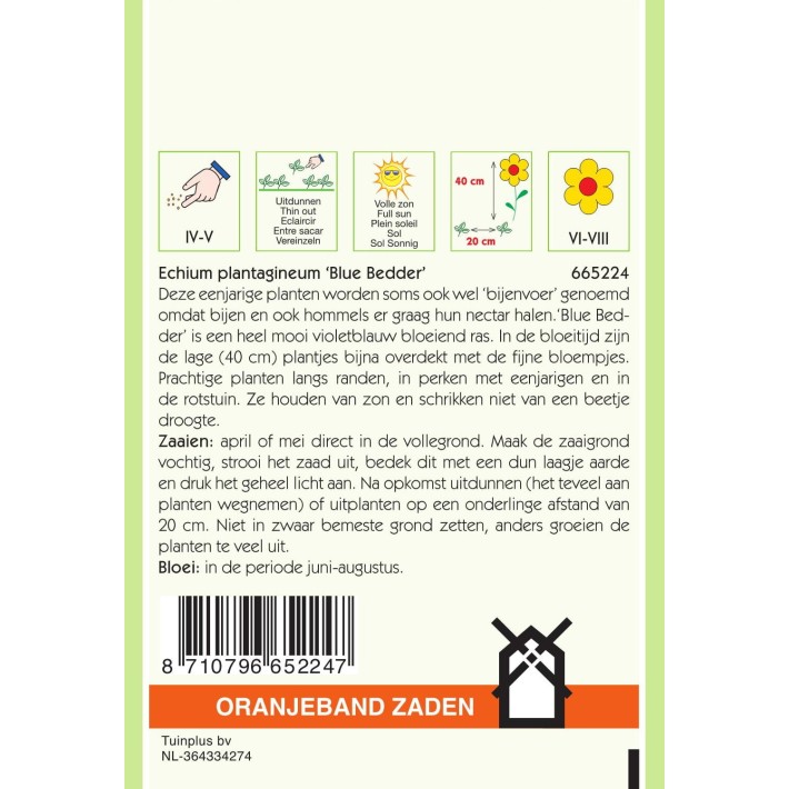 Oranjeband® Echium Plantagineum Blue Bedder