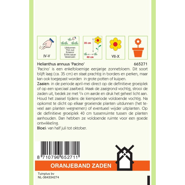 Oranjeband® Soleil debilis Jaune