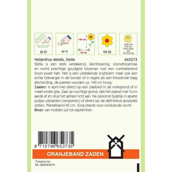 Oranjeband® Helianthus Debilis Jaune