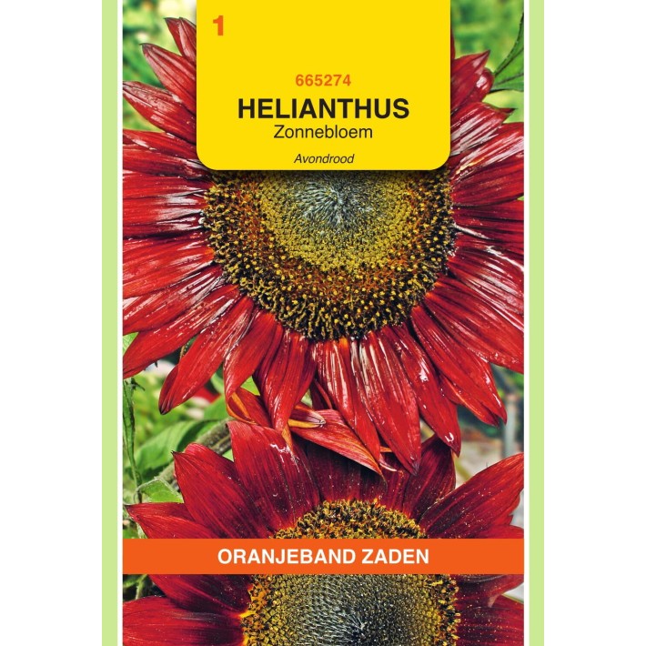 Oranjeband® Soleil Evening Sun