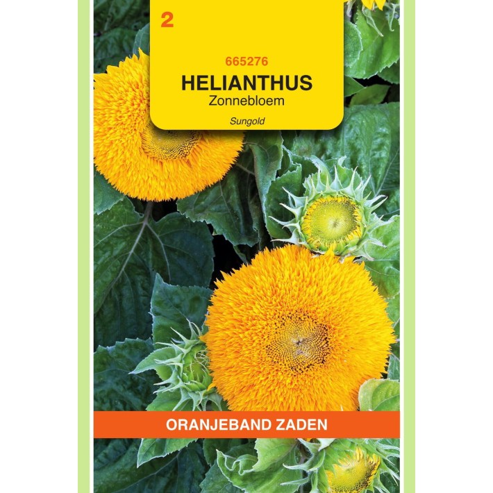 Oranjeband® Soleil Sungold