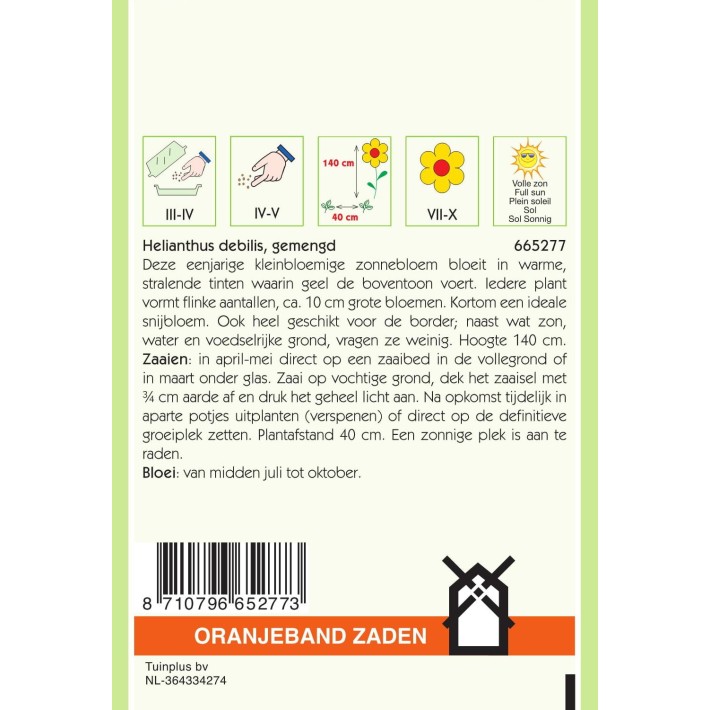 Oranjeband® Helianthus cucumerifolius varié