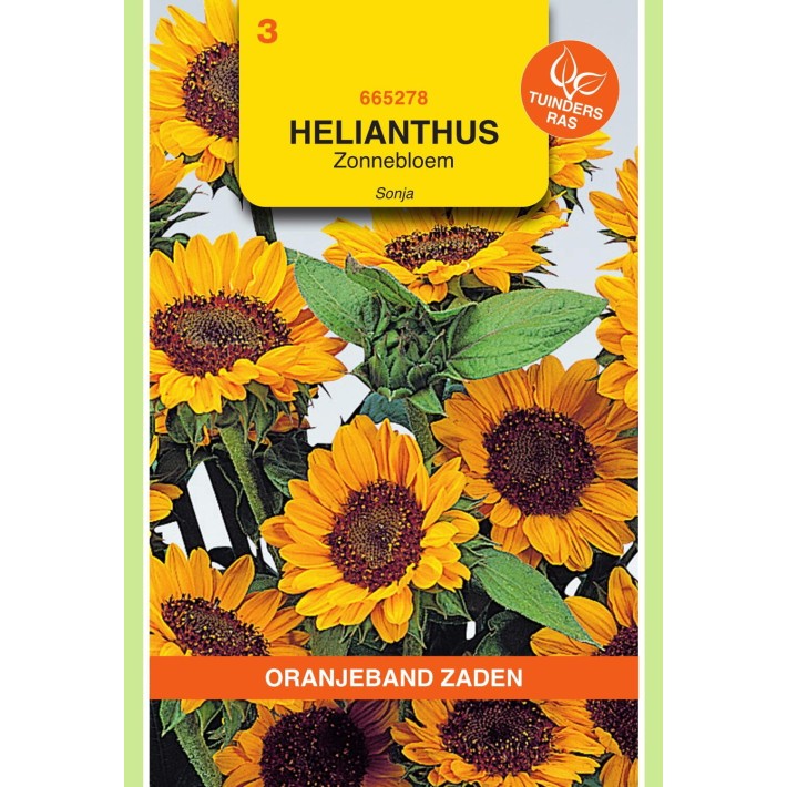 Oranjeband® Helianthus annuus Sonja, Orange