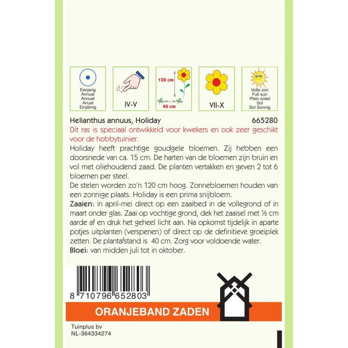 Oranjeband® Helianthus annuus Holiday