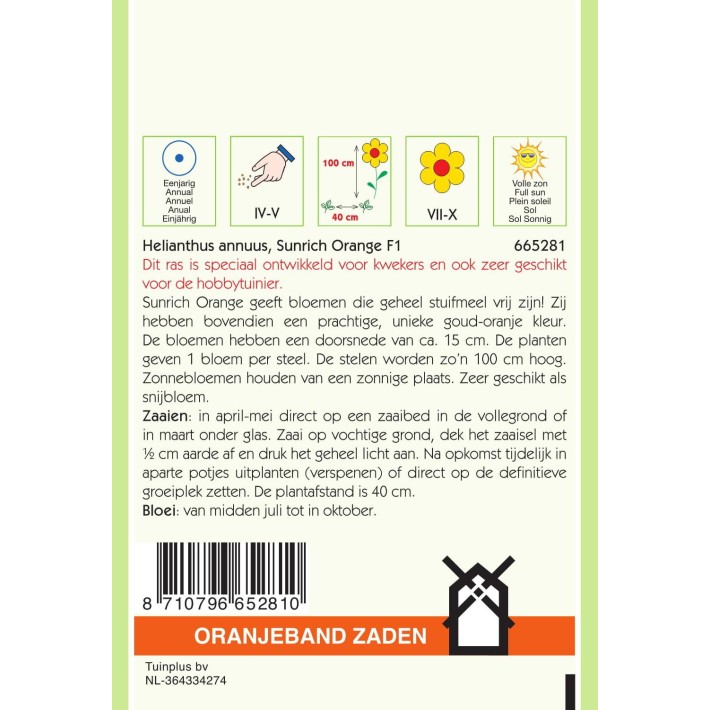Oranjeband® Helianthus F1 hybride Sunrich Orange