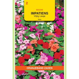 Oranjeband® Impatiens Walleriana Nain Baby Varie