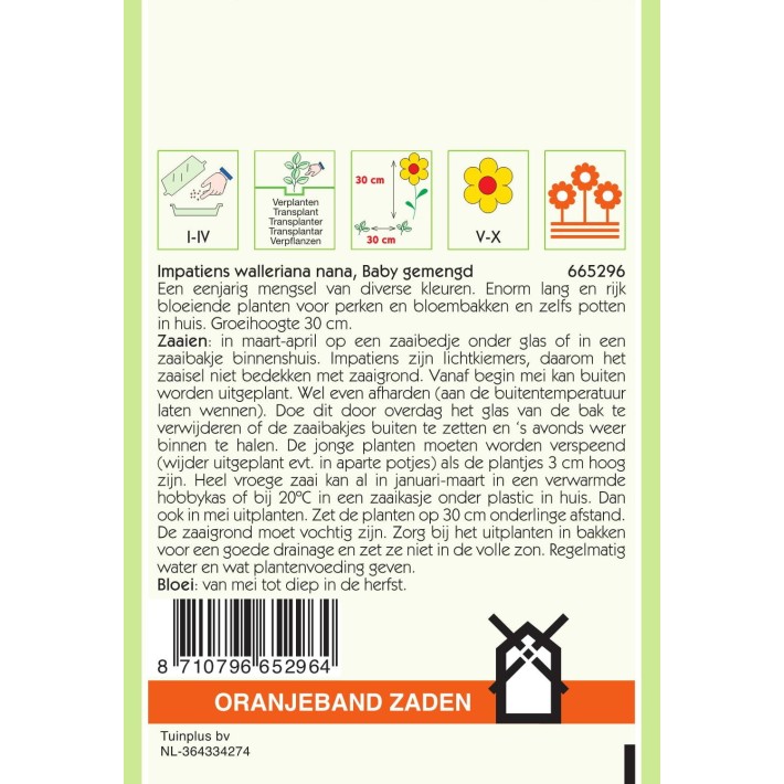 Oranjeband® Impatiens Walleriana Nain Baby Varie