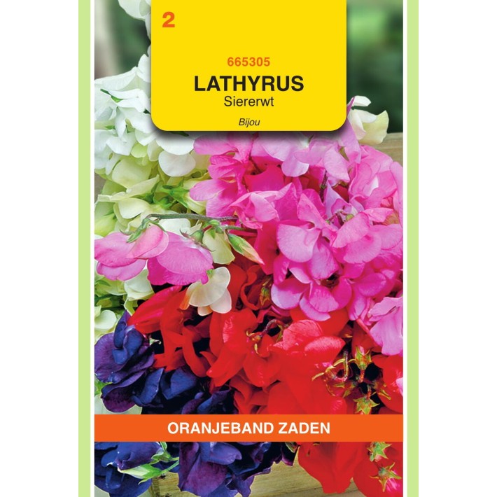 Oranjeband® Lathyrus odoratus Bijou mixed
