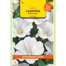 Lavatera, Bekermalva Mont Blanc