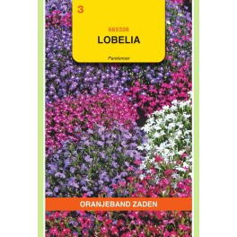 Lobelia Parelsnoer gemengd