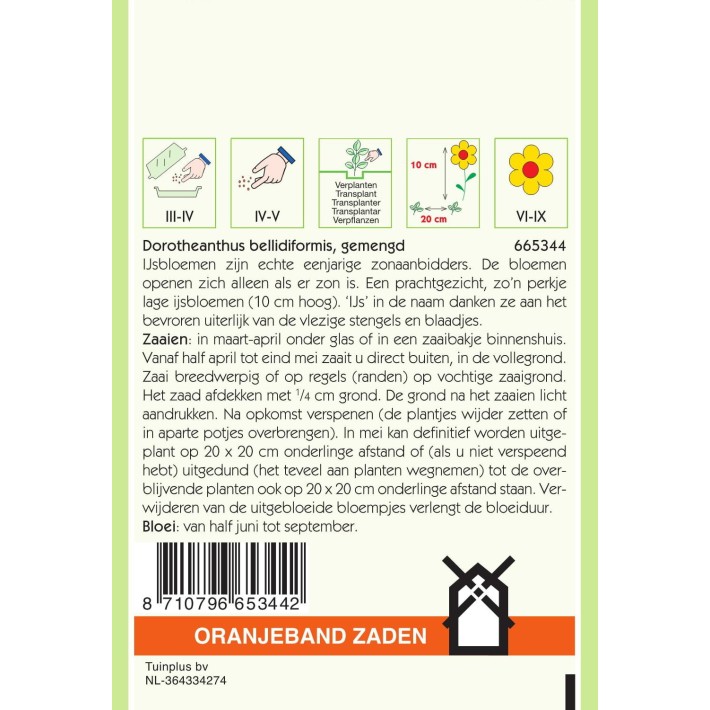 Oranjeband® Dorotheanthus bellidiformis mixed
