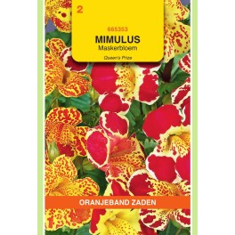 Oranjeband® Mimulus Hybrid Queen´s Prize Melange
