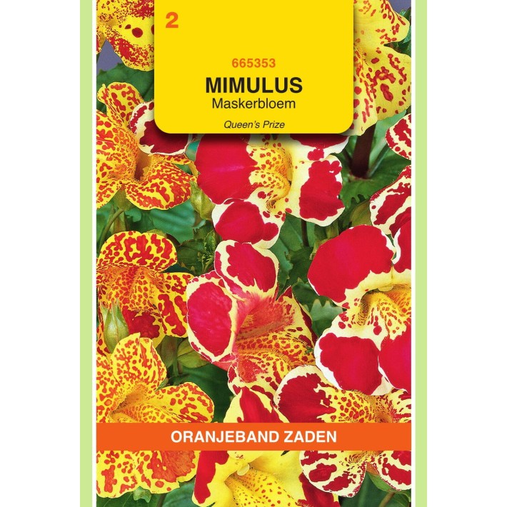 Oranjeband® Mimulus Hybrid Queen´s Prize Melange