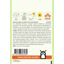 Oranjeband® Mimulus Hybrid Queen´s Prize Melange
