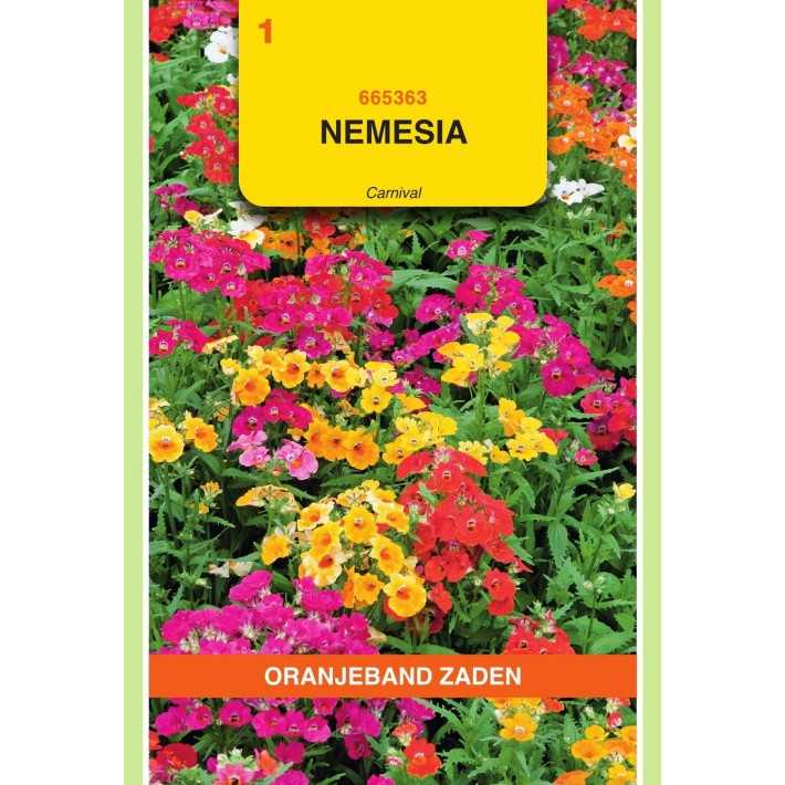 Oranjeband® Nemesia Carnaval Couleurs Variees