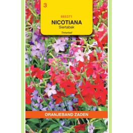Nicotiana, Siertabak Tinkerbell gemengd