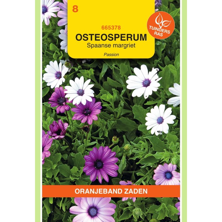 Oranjeband® Osteospermum ecklonis Passion Mixed