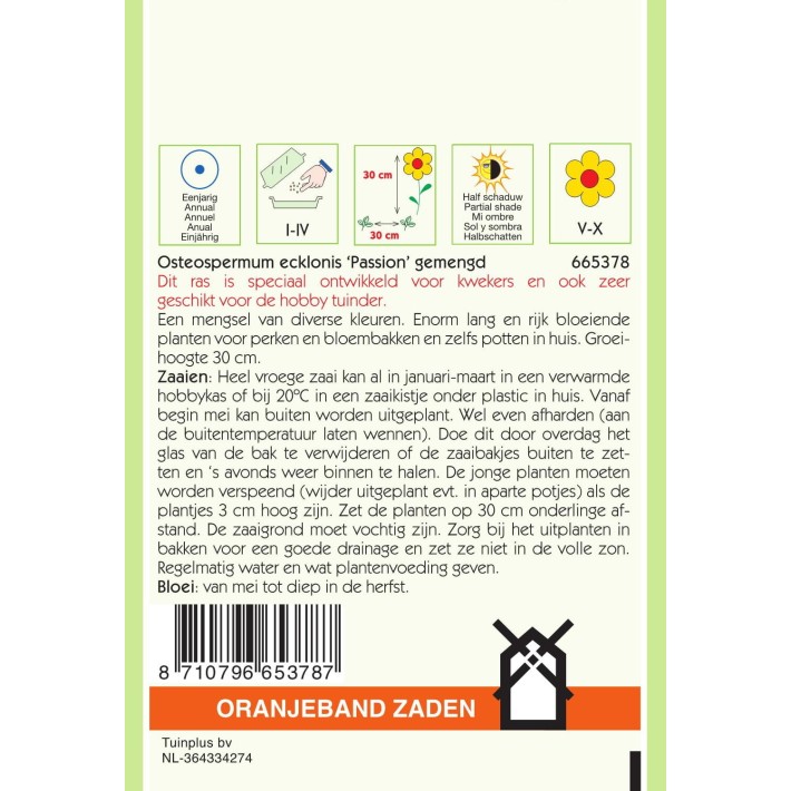 Oranjeband® Osteospermum ecklonis Passion Mixed