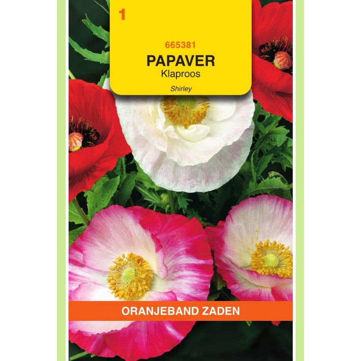 Oranjeband® Papaver Rhoeas Shirley Double Mixed