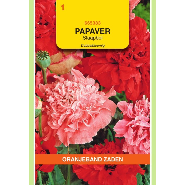 Oranjeband® World Paeoniflorum Double Mixed