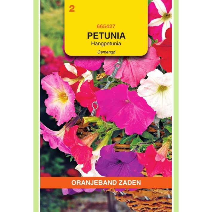 Oranjeband® Petunia Multifl. F1 Bonanza