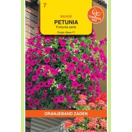 Petunia Purple Wave F1, Fortunia serie