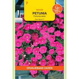 Petunia Pink Wave F1, Fortunia serie