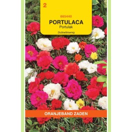 Oranjeband® Portulaca Grandiflora Double Variee