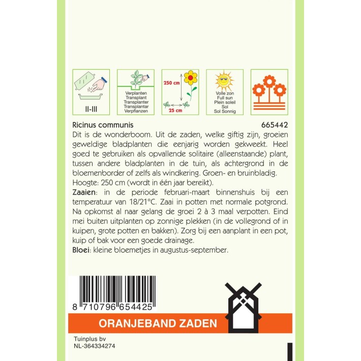 Oranjeband® Ricinus Communis Zanzibariensis