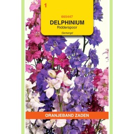 Delphinium, Ridderspoor gemengd